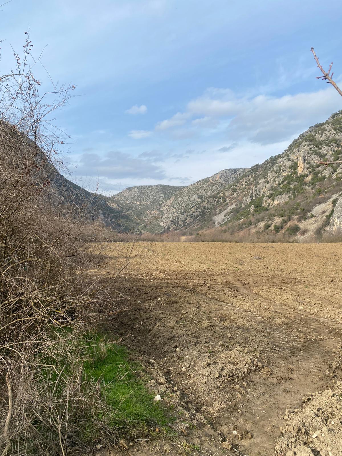 MABEL'DEN FIRSAT YATIRIMLIK DEV ARAZİ